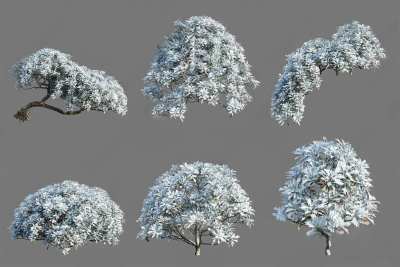 现代树木3D模型下载